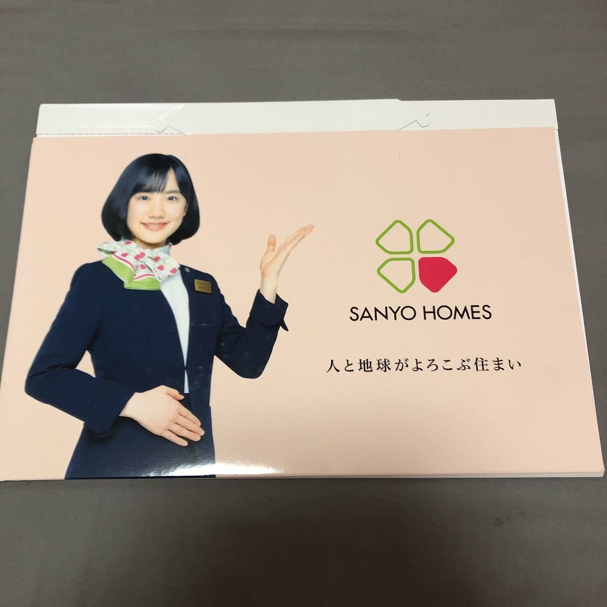 Amazon.co.jp: 3点セット 芦田愛菜/2022年カレンダー クリアファイル